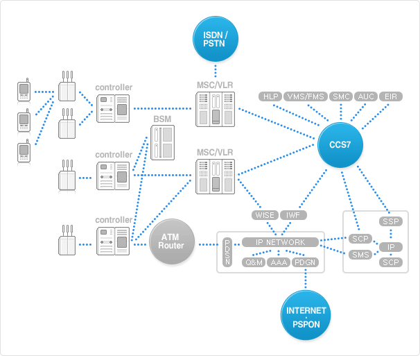 Business Overview