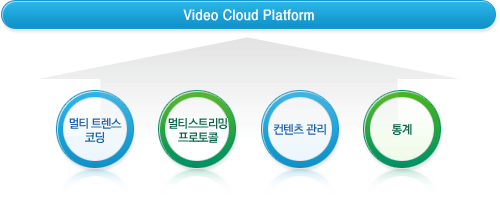Video Cloud Platform